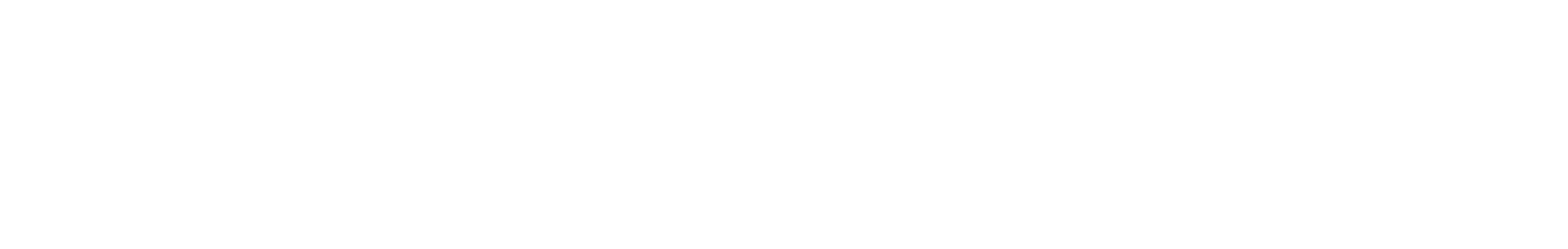 RG ROM GUMMI logo